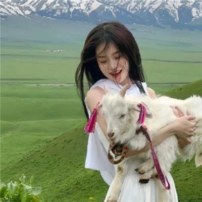 校园秘密档案